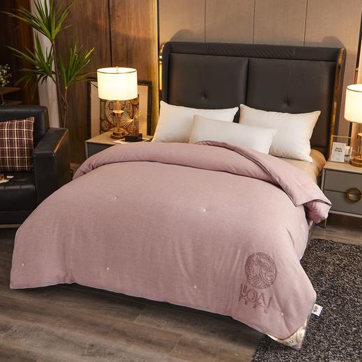 限量仅8斤规格有货【黄金蚕丝被】-CSYP 商品图8