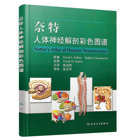 奈特人体神经解剖彩色图谱