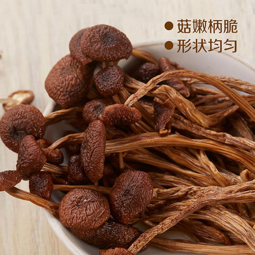 中粮初萃广昌茶树菇120g内含4袋小包装（新旧包装随机发货） 商品图1