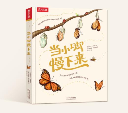 绘本馆-乐乐趣珍藏精装绘本-《当小脚慢下来》 商品图0