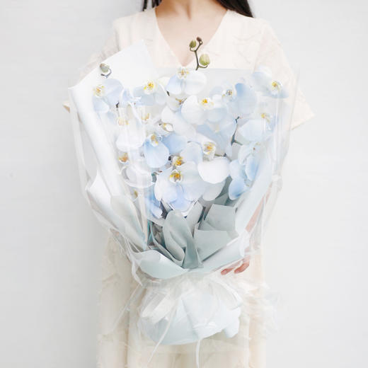 《蝴蝶飞飞》蝴蝶兰花束，下单备注图几的颜色哦 商品图1