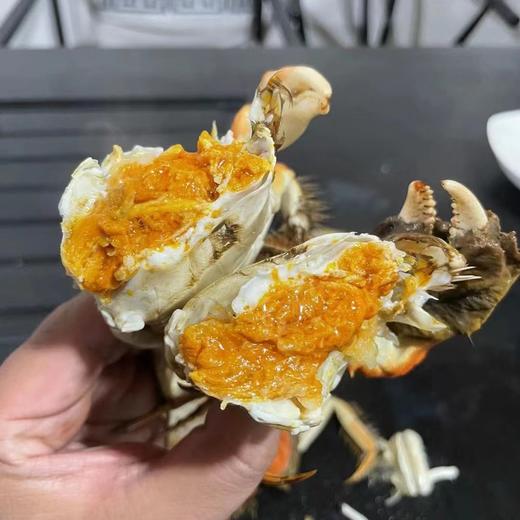 2021红膏大闸蟹「单只」 商品图2