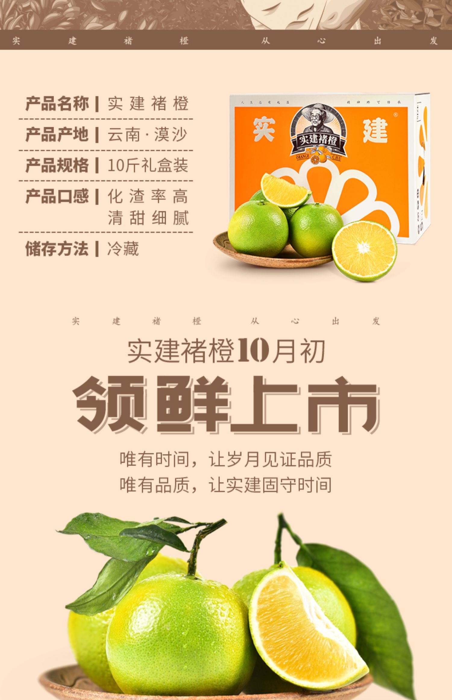 蜜香橙品种介绍图片