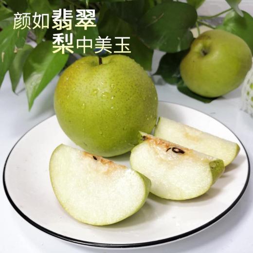 黄陵翡翠梨礼盒装12枚大果7斤装 商品图1