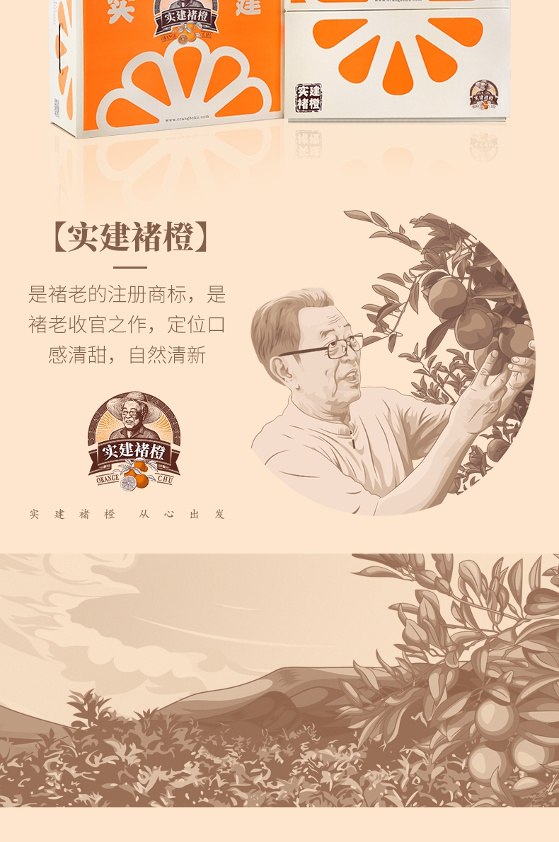 实建褚橙2021云南冰糖橙褚时健特级橙子新鲜水果礼盒装官方正品10斤装
