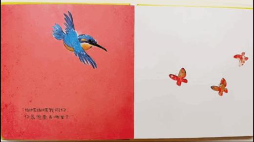 蝴蝶你要去哪里 ——点虫虫系列 商品图3