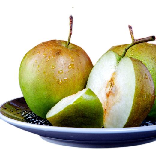 黄陵翡翠梨礼盒装12枚大果7斤装 商品图0