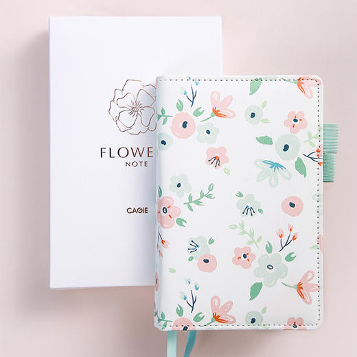 卡杰A6手账本CA6J4821笔记本日记本可爱少女心文艺学生本商务记事本 商品图2