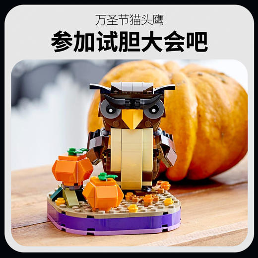 乐高万圣节猫头鹰40497 商品图1