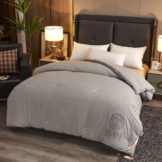 限量仅8斤规格有货【黄金蚕丝被】-CSYP 商品图4