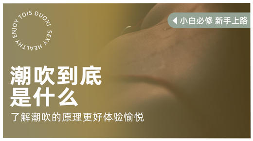 巢吹到底是什么？ 商品图0