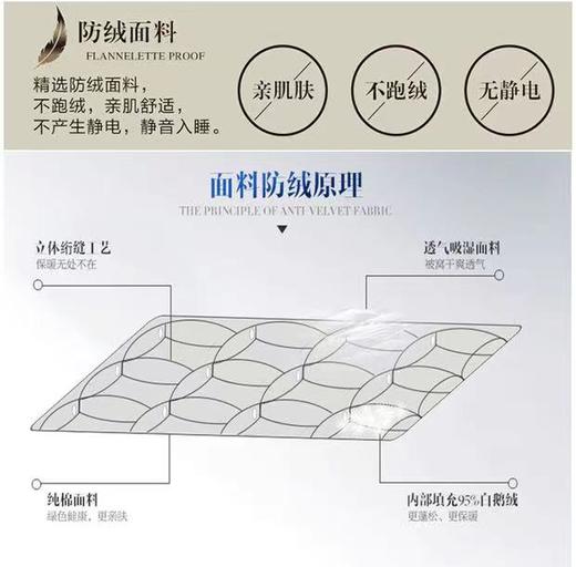 【恐龙厅】B7 丨F恐龙N11D柔赛丝95%白鹅绒被厚 商品图2
