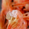 虾青素极高，头籽率90%以上的即食北极甜虾，来自格陵兰岛海域 商品缩略图6