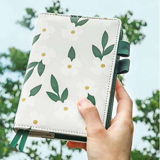 卡杰A6手账本CA6J4821笔记本日记本可爱少女心文艺学生本商务记事本 商品图1