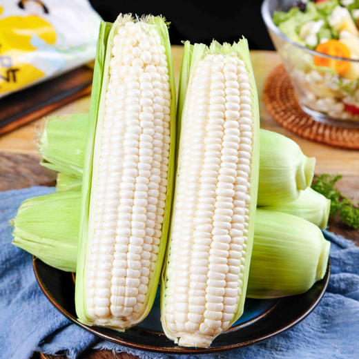 【严选】牛奶玉米6根独立包装可生吃（厂家直发） 商品图1
