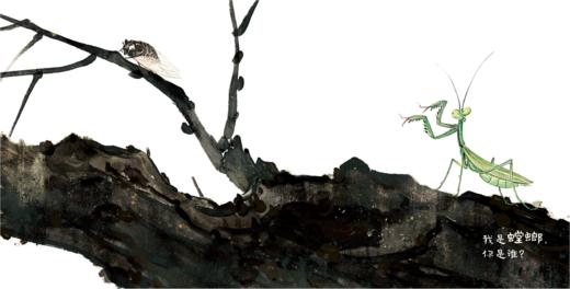 我是蜻蜓你是谁 ——点虫虫系列 商品图10