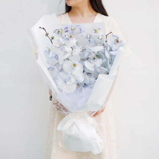 《蝴蝶飞飞》蝴蝶兰花束，下单备注图几的颜色哦 商品图2