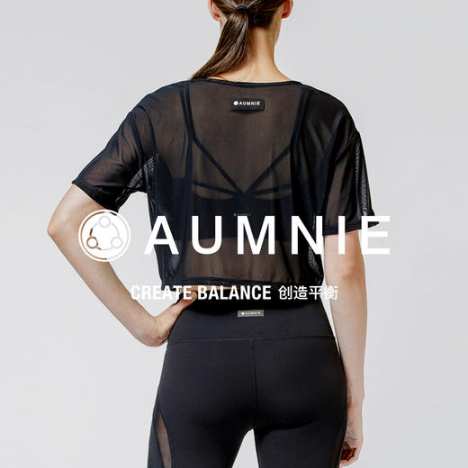 【AUMNIE】露脐短款网纱上衣 CROPPED MESH TEE 商品图1