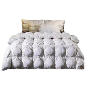 【恐龙厅】B7 丨F恐龙N11D柔赛丝95%白鹅绒被厚