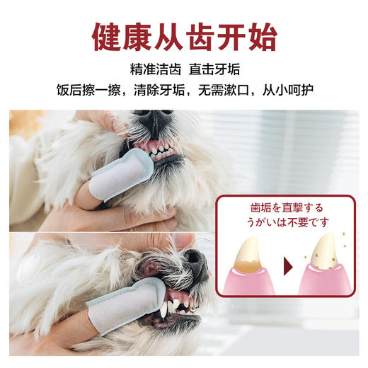 日本kojima宠物洁牙指套牙刷湿巾猫咪洁齿除口臭牙齿狗狗口腔清洁 36枚/包 商品图2