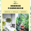 【读书圈社群团购】植物风格（套装2册）绿植空间的营造手法 商品缩略图3