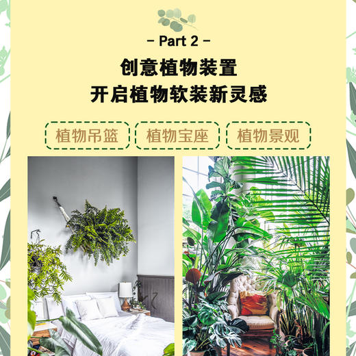 【读书圈社群团购】植物风格（套装2册）绿植空间的营造手法 商品图3