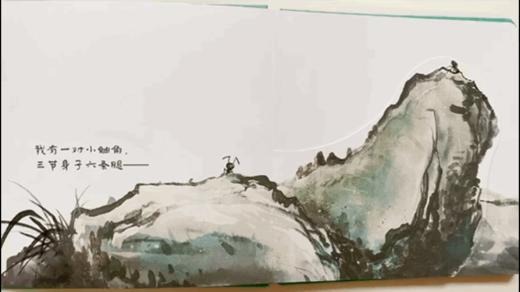 我是蜻蜓你是谁 ——点虫虫系列 商品图2