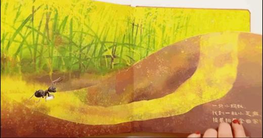 小蚂蚁们忙什么 ——点虫虫系列 商品图8