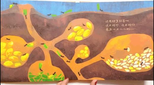 小蚂蚁们忙什么 ——点虫虫系列 商品图9