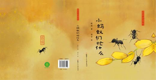 小蚂蚁们忙什么 ——点虫虫系列 商品图1