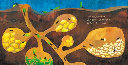 小蚂蚁们忙什么 ——点虫虫系列 商品图7