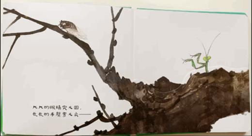 我是蜻蜓你是谁 ——点虫虫系列 商品图3