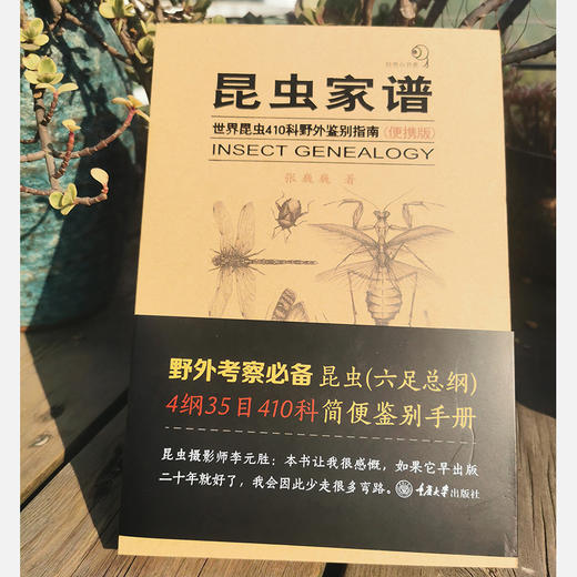 昆虫家谱——世界昆虫410科野外鉴别指南（便携版） 商品图3