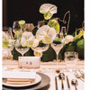 《绿野仙踪》绿色系西餐桌花设计 商品缩略图1