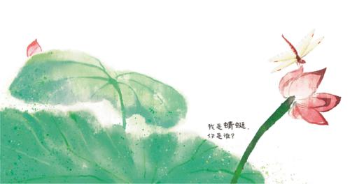 我是蜻蜓你是谁 ——点虫虫系列 商品图6