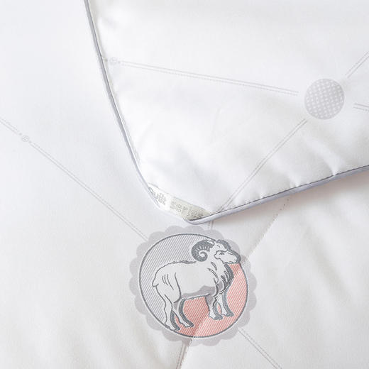 杉杉家纺 新西兰羊毛被 QFS-31014 商品图3