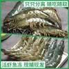 新鲜冷冻正大青虾2斤/份 商品缩略图2