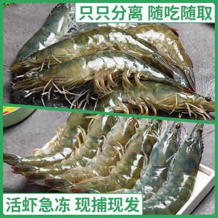 新鲜冷冻正大青虾2斤/份 商品图2