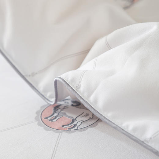 杉杉家纺 新西兰羊毛被 QFS-31014 商品图4