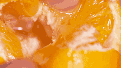  云南的绿皮冰糖橙，仅1%的人吃过！皮薄超甜，VC满满还解腻，现摘现发 