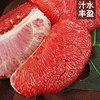 红心蜜柚/个 商品缩略图1