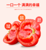 西红柿1斤/份 商品缩略图0