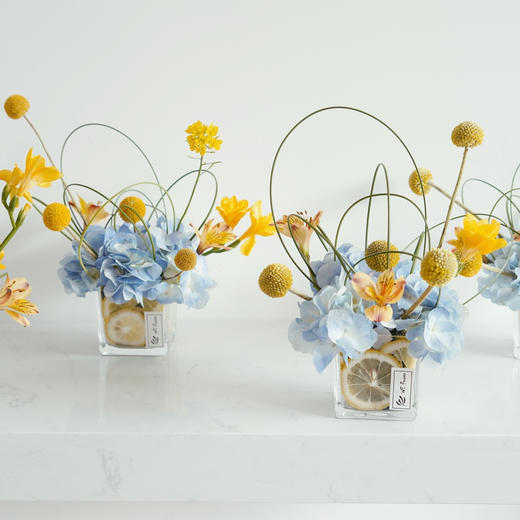 绣球混搭小桌花 商品图0