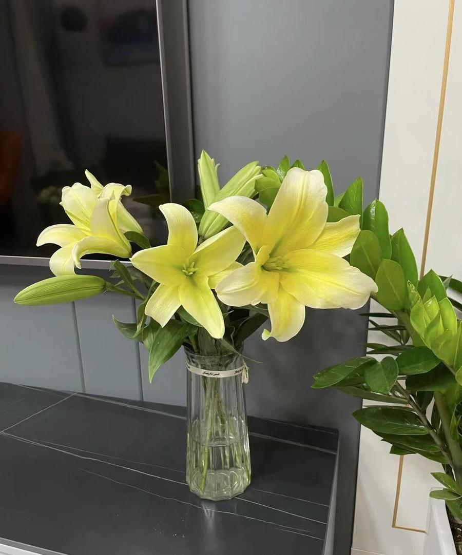 百合 黄天霸黄色多头10支 扎