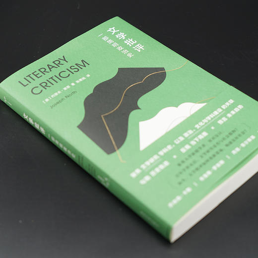 文学批评：一部简明政治史 守望者·镜与灯 商品图3