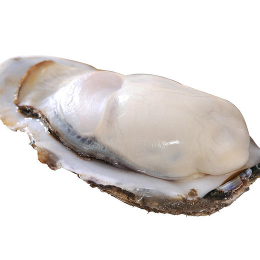 生蚝4斤/盒 商品图2