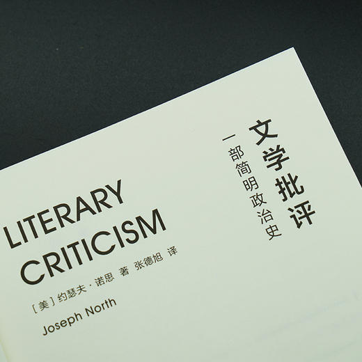 文学批评：一部简明政治史 守望者·镜与灯 商品图8
