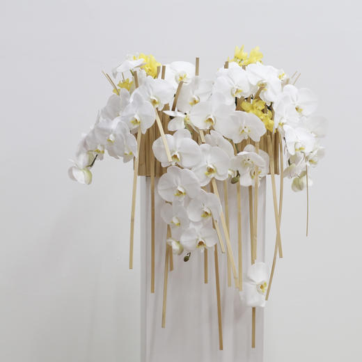 蝴蝶飞飞-会议桌花 商品图0