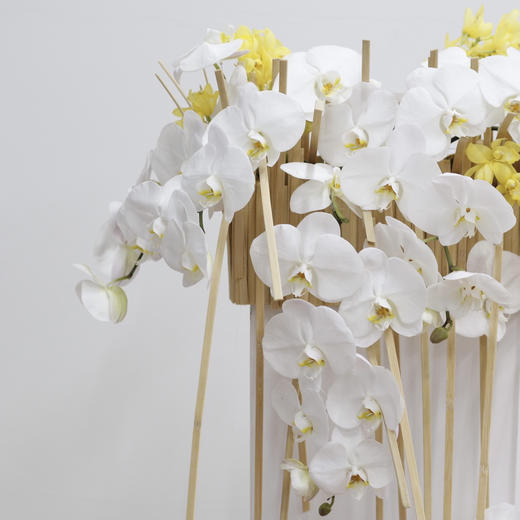 蝴蝶飞飞-会议桌花 商品图2