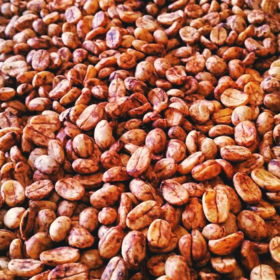 日签｜哥斯达黎加蜜处理之黑蜜